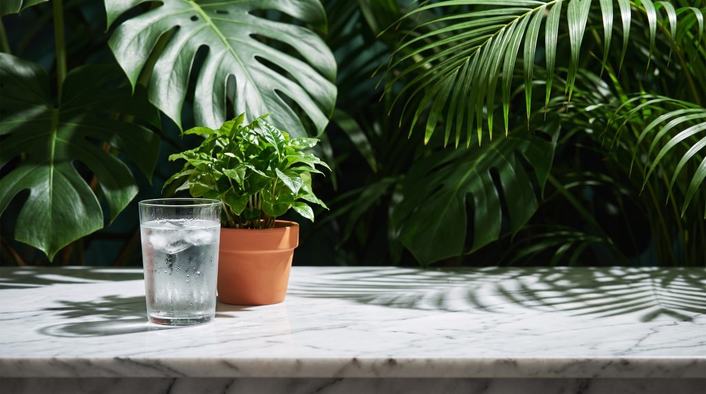 A glass of water beside a small plant on a marble surface